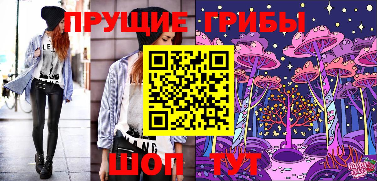 Псилоцибиновые грибы Psilocybine cubensis Елабуга