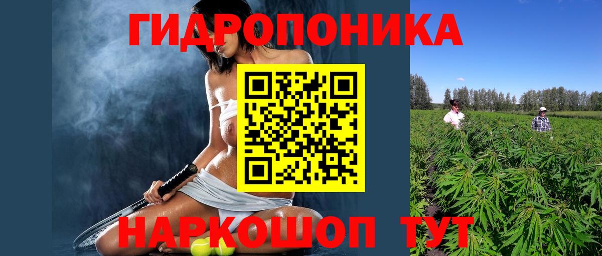 Каннабис план Елабуга
